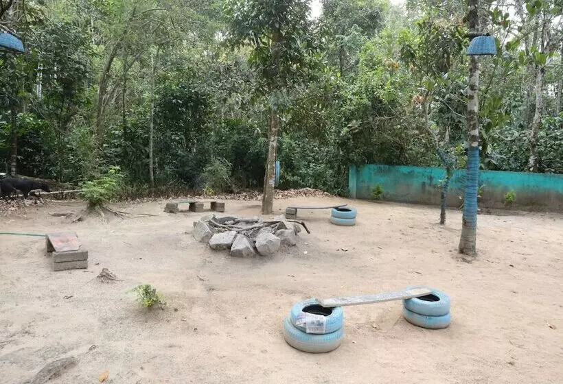 Majatalo Vedanta Wake Up Edakkal Caves  By Oyo