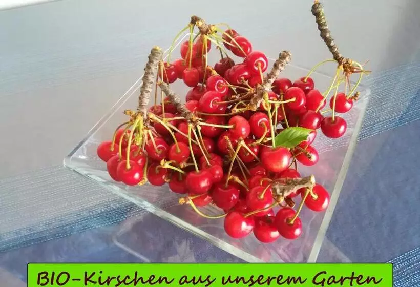 Frühstückspension See Panorama