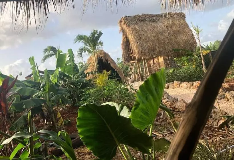 هتل Guaigüí Bayahibe