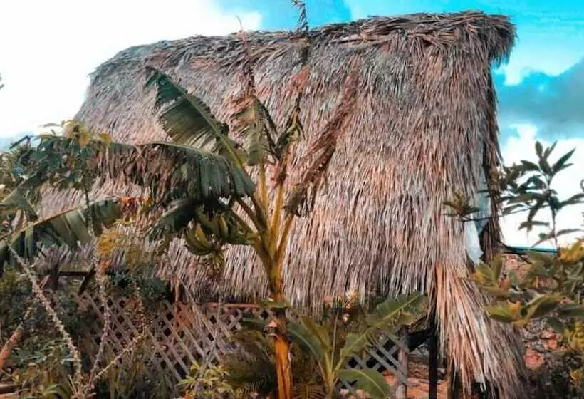 هتل Guaigüí Bayahibe