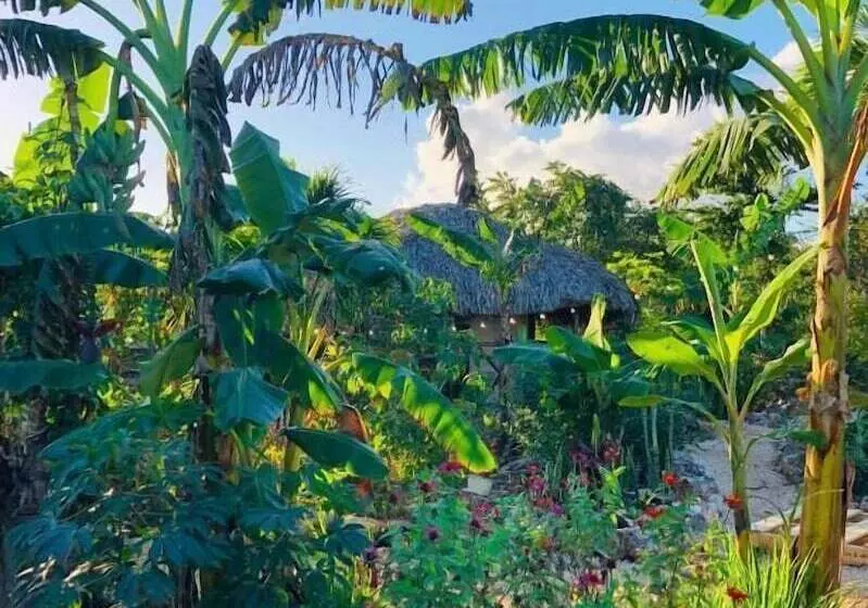 هتل Guaigüí Bayahibe