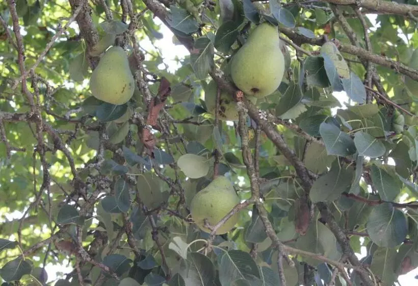 Majatalo Casa Costoya