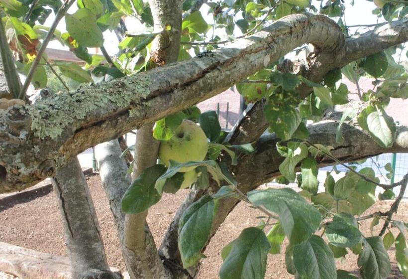 Пансион Casa Costoya