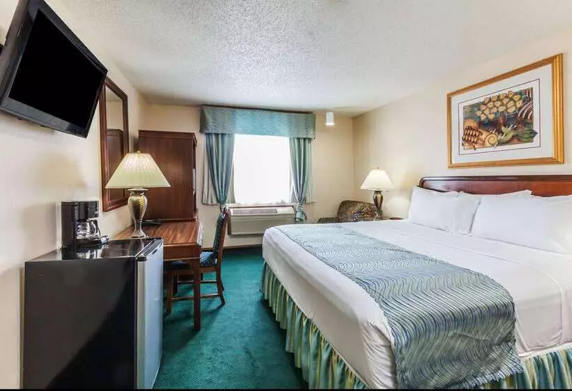 ホテル Super 8 By Wyndham Irving Dfw Airport/south
