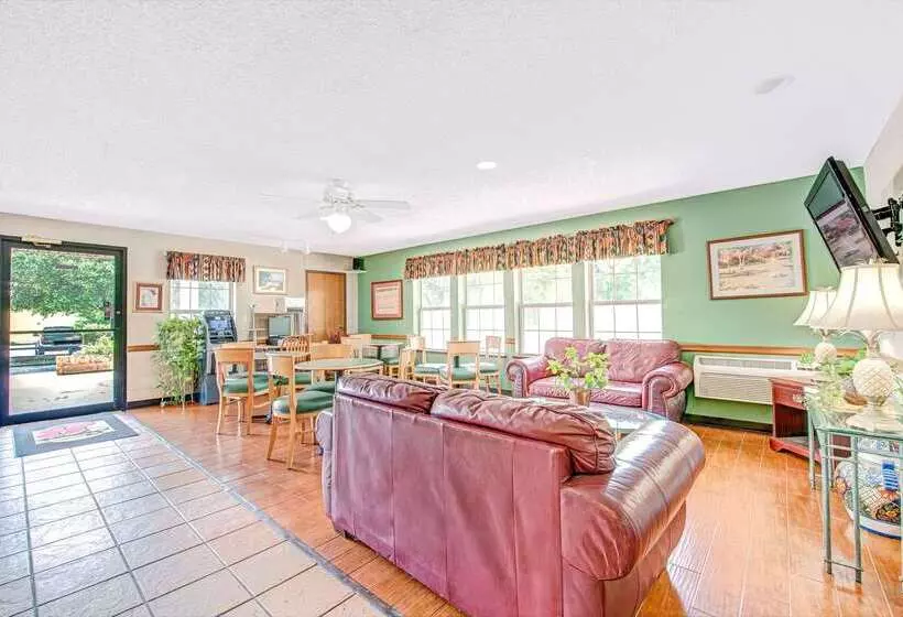 فندق Super 8 By Wyndham San Antonio/fiesta