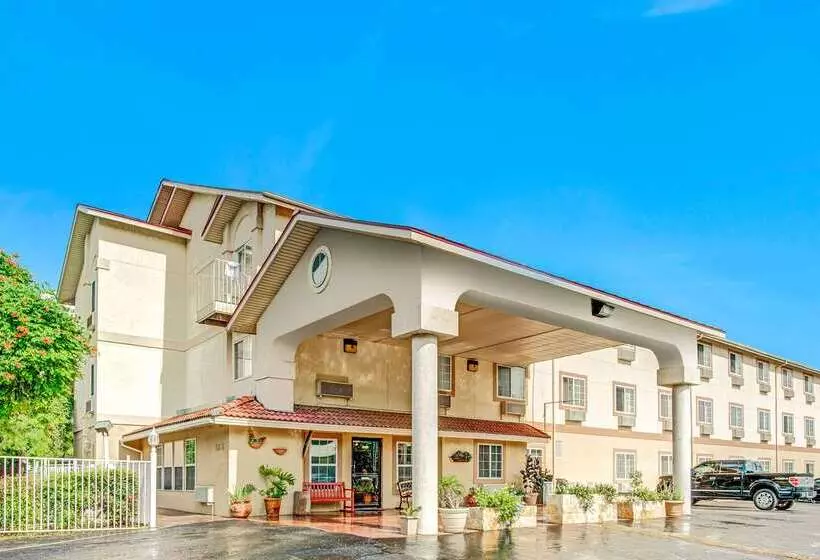 فندق Super 8 By Wyndham San Antonio/fiesta
