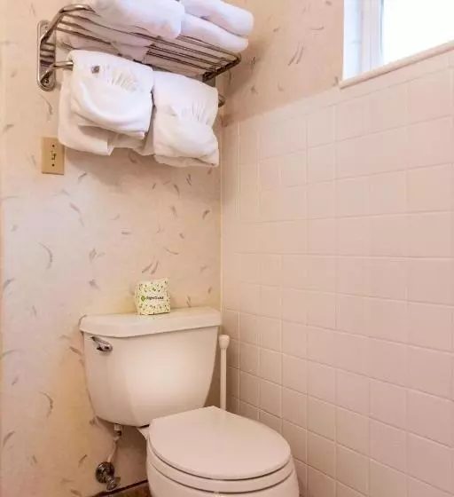 ホテル Swiss Alps Inn