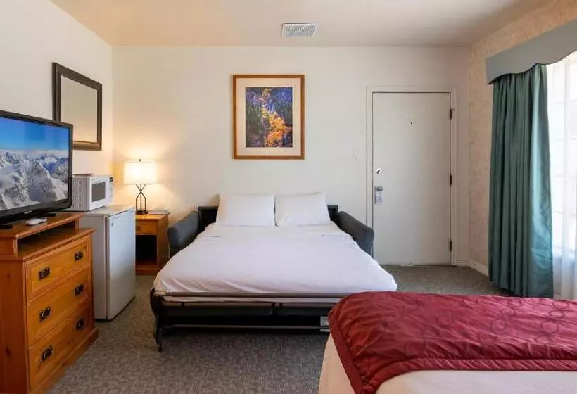 ホテル Swiss Alps Inn