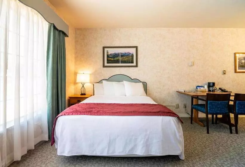 ホテル Swiss Alps Inn