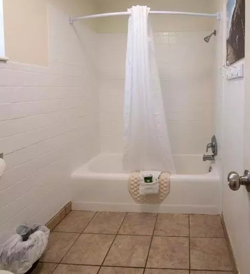 ホテル Swiss Alps Inn