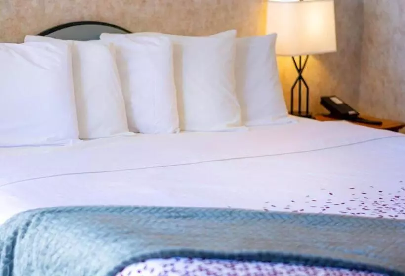 ホテル Swiss Alps Inn