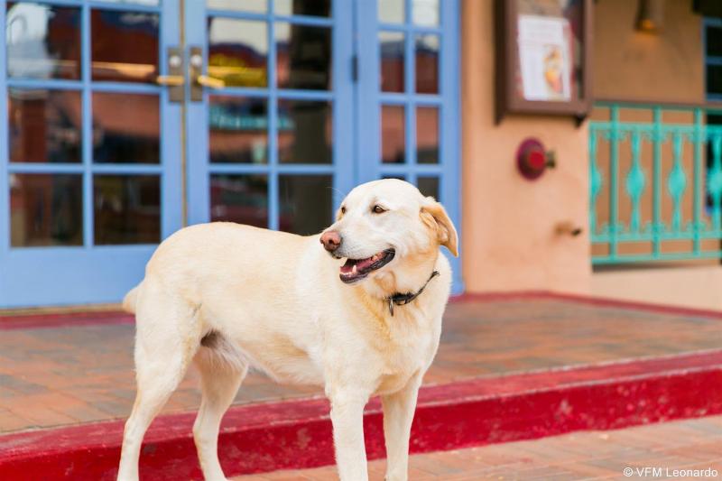 فندق Table Mountain Inn