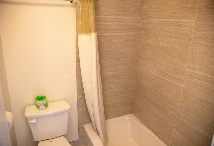 בית מלון כפרי Travel Inn In Phoenix