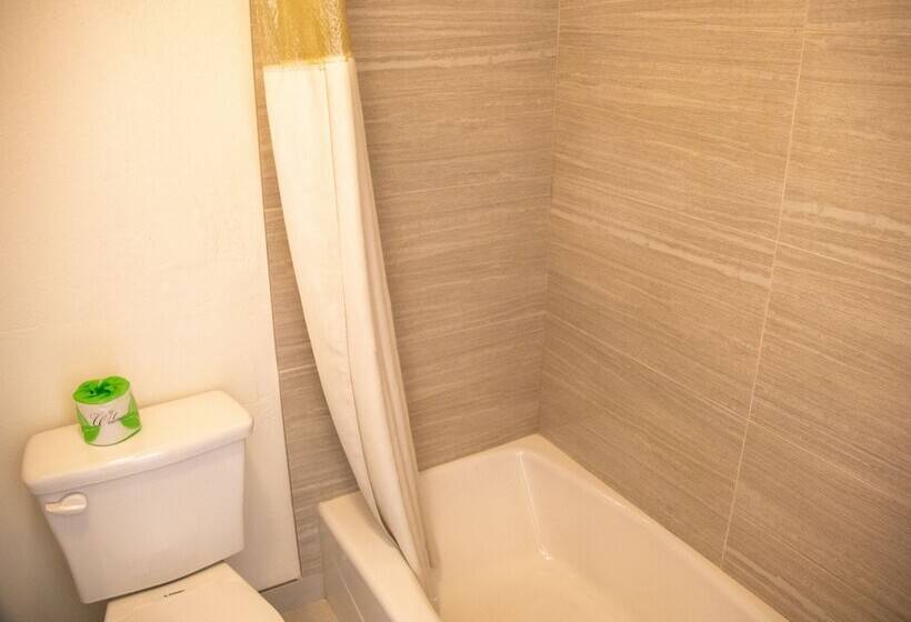 בית מלון כפרי Travel Inn In Phoenix