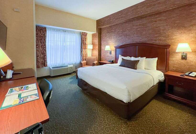 Maine Evergreen Hotel, Ascend Hotel Collection