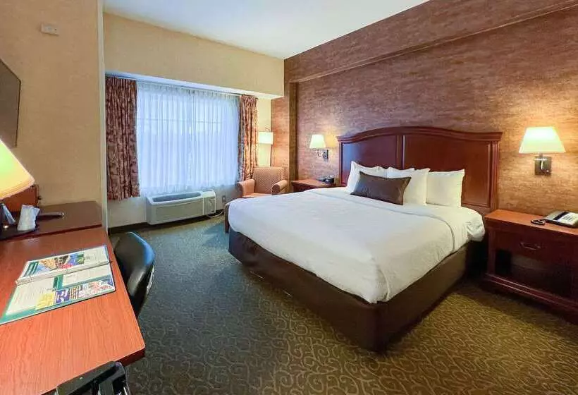 Maine Evergreen Hotel, Ascend Hotel Collection