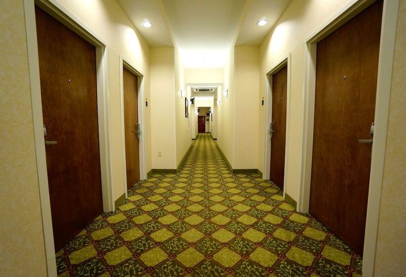 Maine Evergreen Hotel, Ascend Hotel Collection