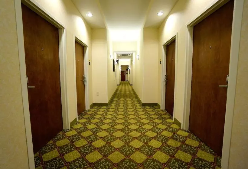 Maine Evergreen Hotel, Ascend Hotel Collection