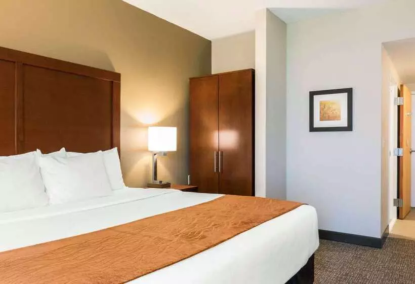 Мотель Comfort Inn