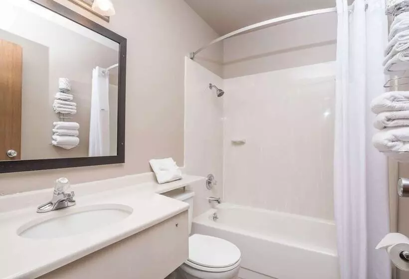 فندق على الطريق Super 8 By Wyndham Boise