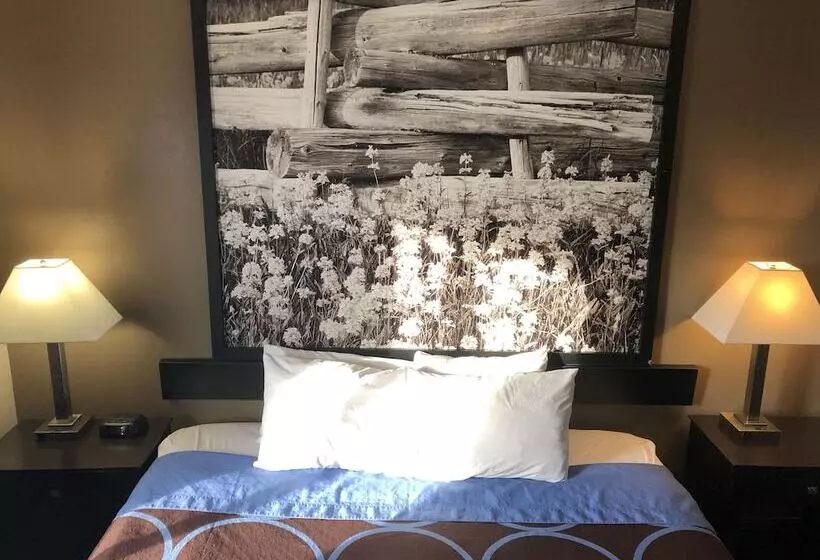 فندق على الطريق Super 8 By Wyndham Boise