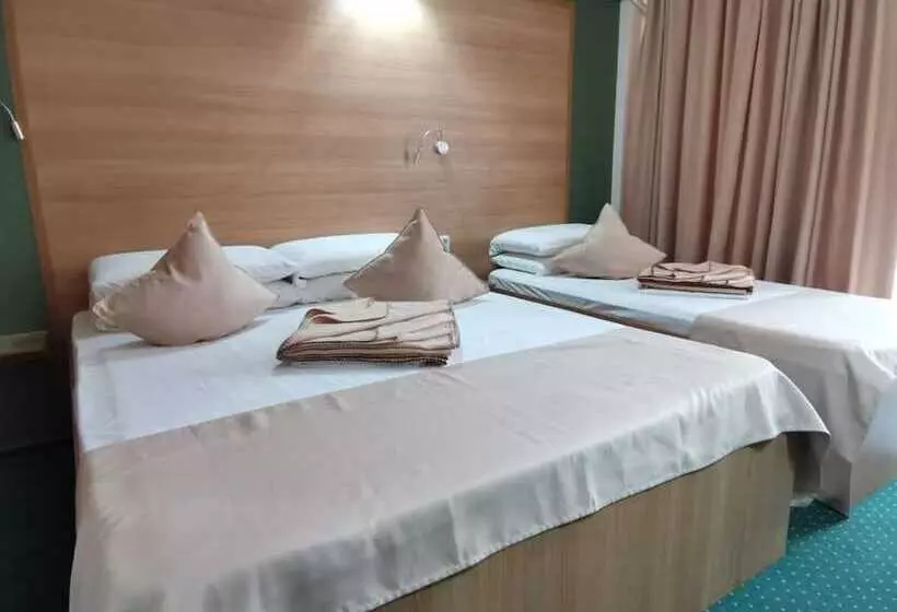 ホテル Delta Palace