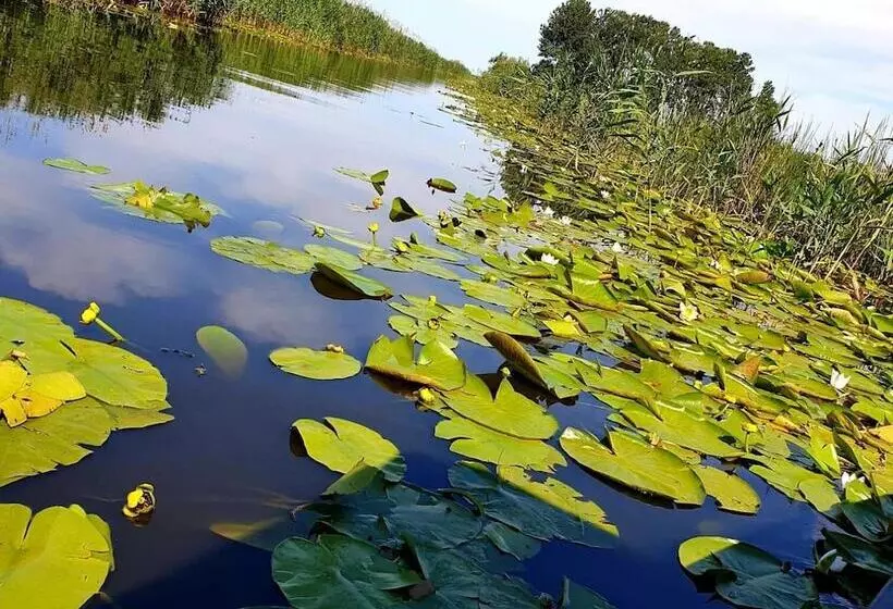 ホテル Delta Palace