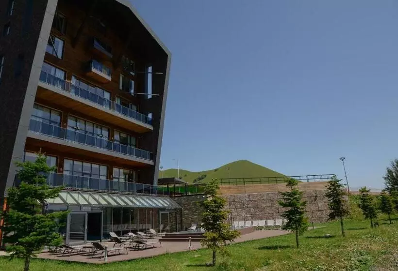 هتل Gudauri Lodge