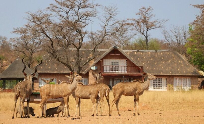 בית מלון כפרי Kudumela Bush Lodge