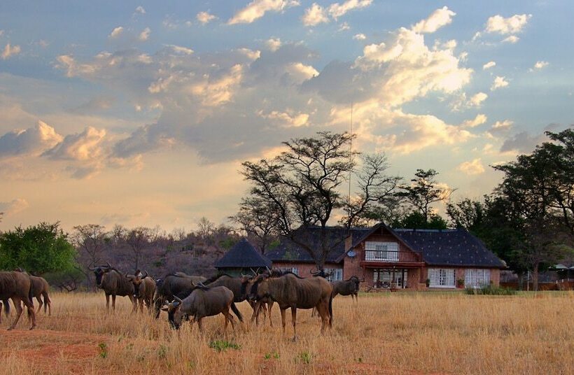 בית מלון כפרי Kudumela Bush Lodge