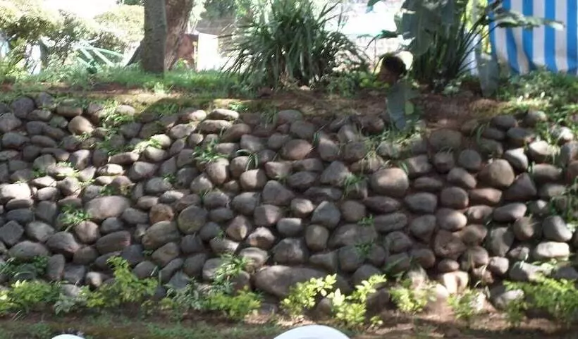 هتل Vienna Woods Holiday Inn Limited