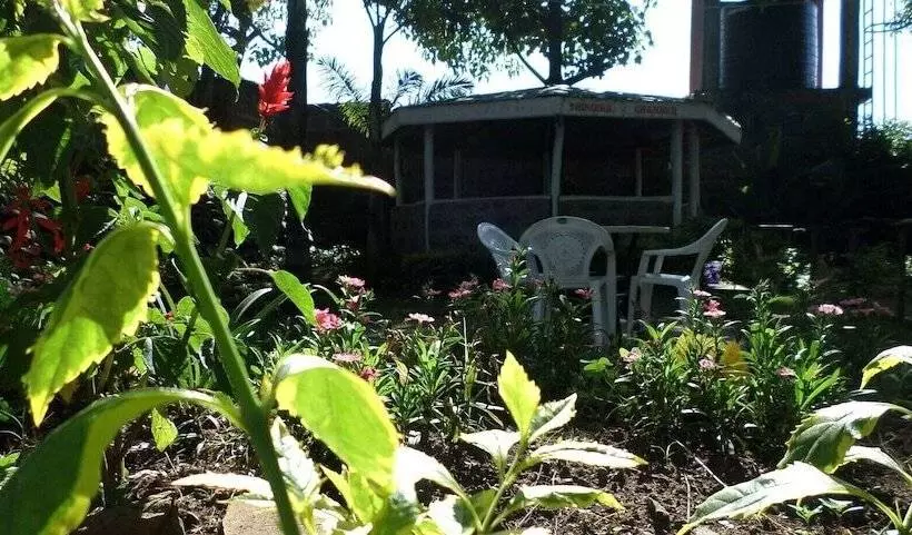 هتل Vienna Woods Holiday Inn Limited