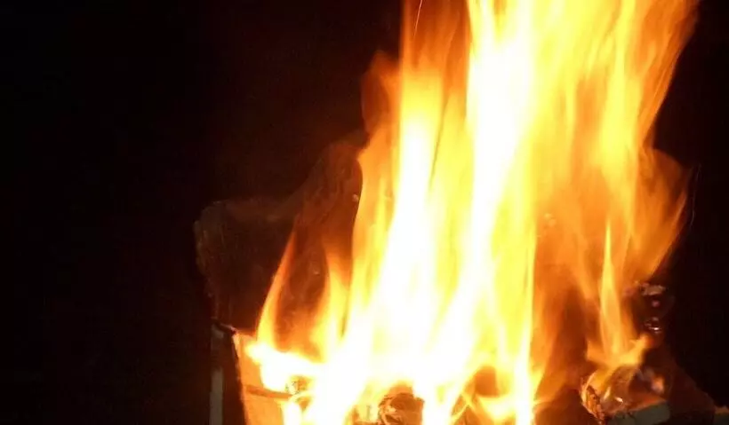 هتل Vienna Woods Holiday Inn Limited