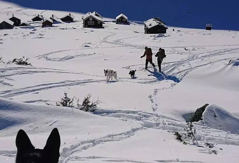 Mjølfjell Ungdomsherberge