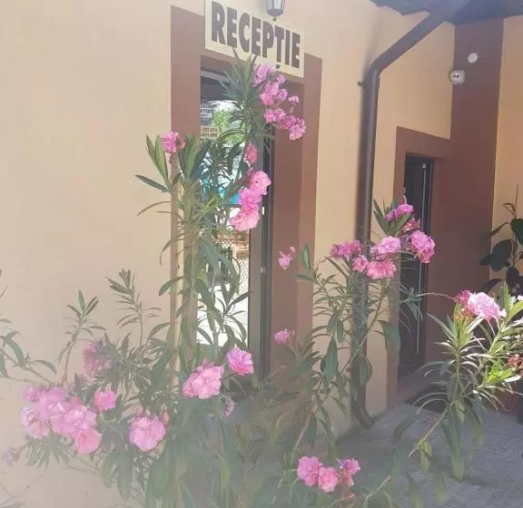 Pensiune Casa Stefan Galati