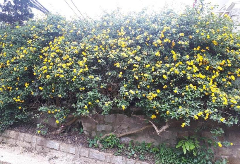 پانسیون Hoang My Guesthouse