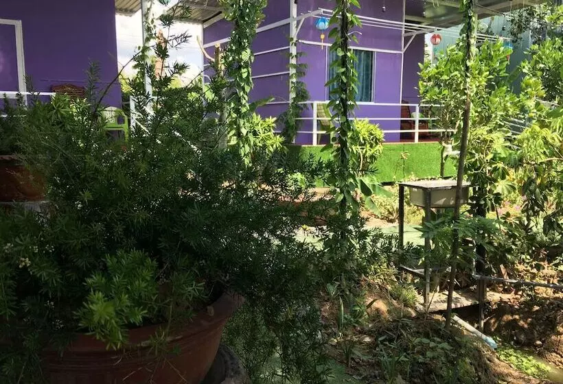Thu Huynh Homestay   Hostel