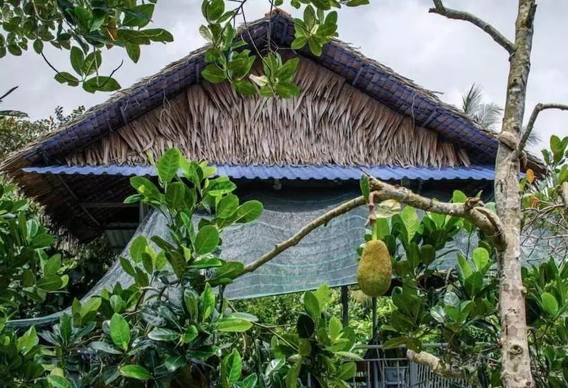 Thu Huynh Homestay   Hostel