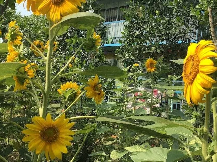 Thu Huynh Homestay   Hostel