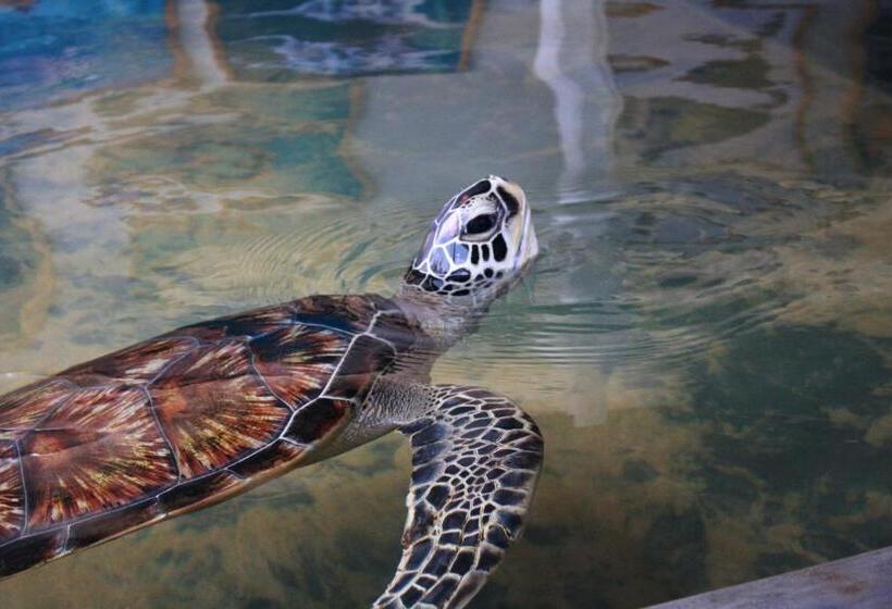 De Moda Boutique Hotel Galle