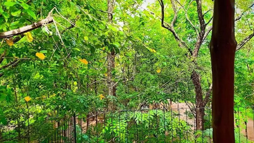 Fresco Lion Villa   Hostel