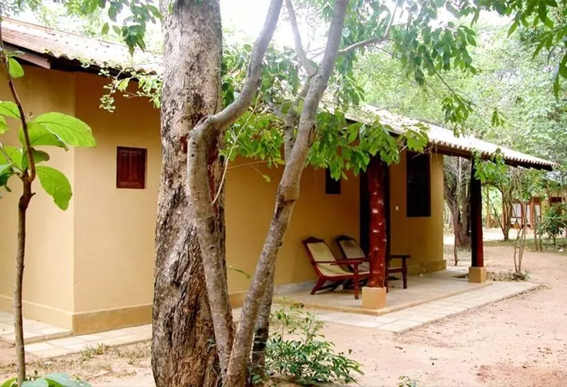 Fresco Lion Villa   Hostel