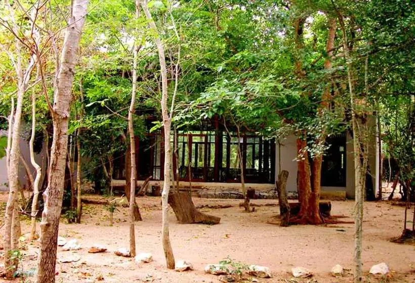 Fresco Lion Villa   Hostel