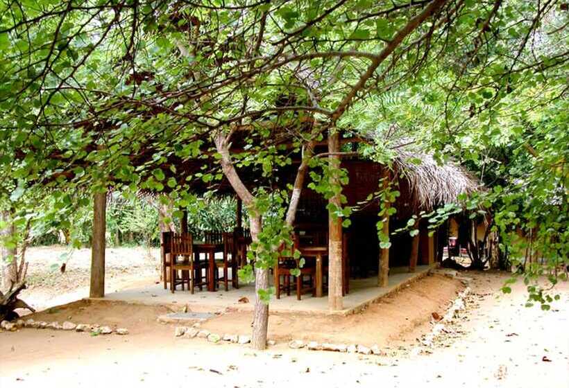 Fresco Lion Villa Hostel