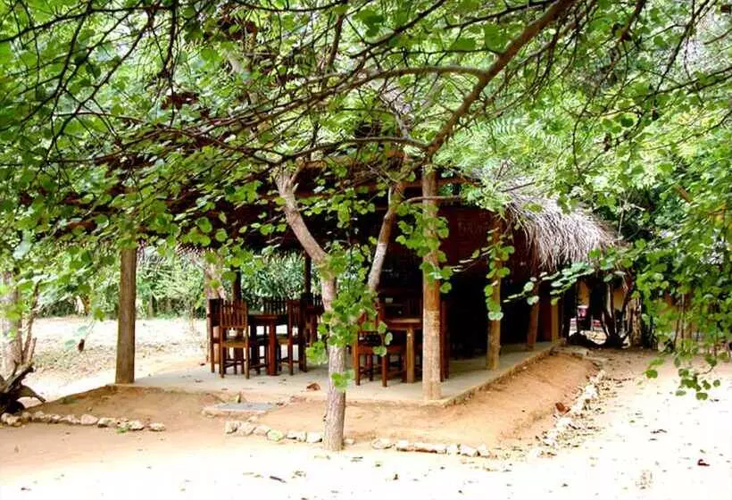 Fresco Lion Villa   Hostel