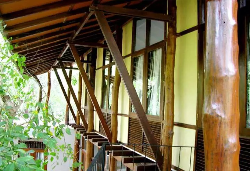 Fresco Lion Villa   Hostel