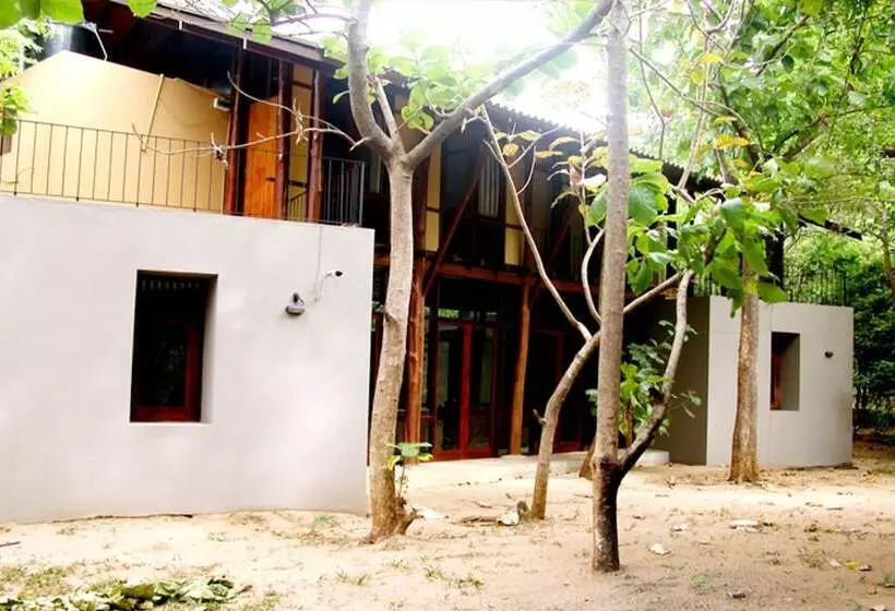 Fresco Lion Villa   Hostel