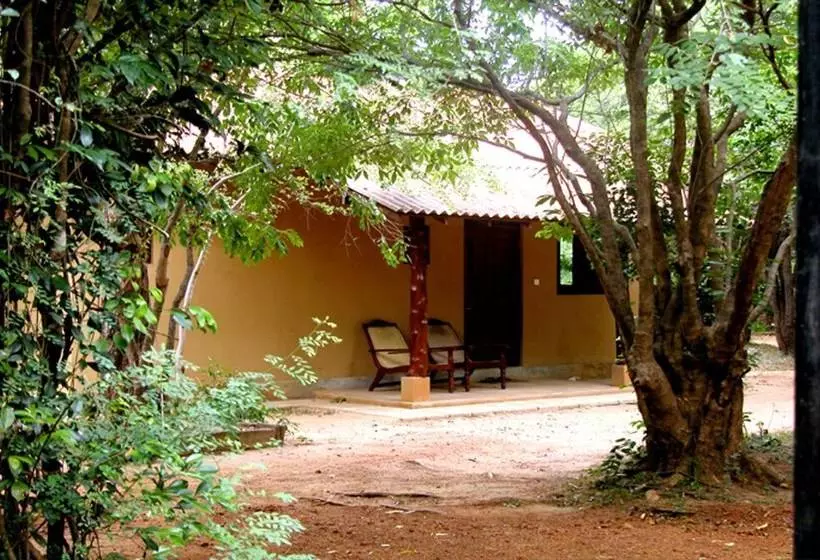 Fresco Lion Villa   Hostel