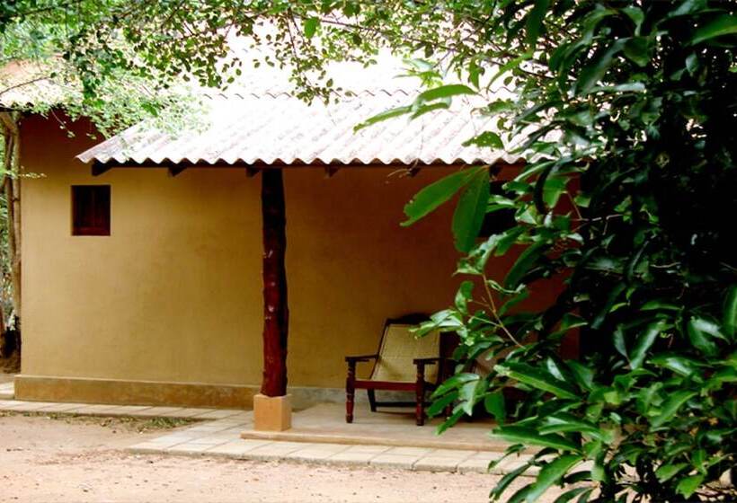 Fresco Lion Villa Hostel