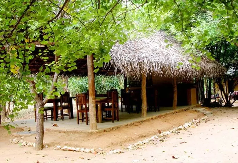 Fresco Lion Villa   Hostel